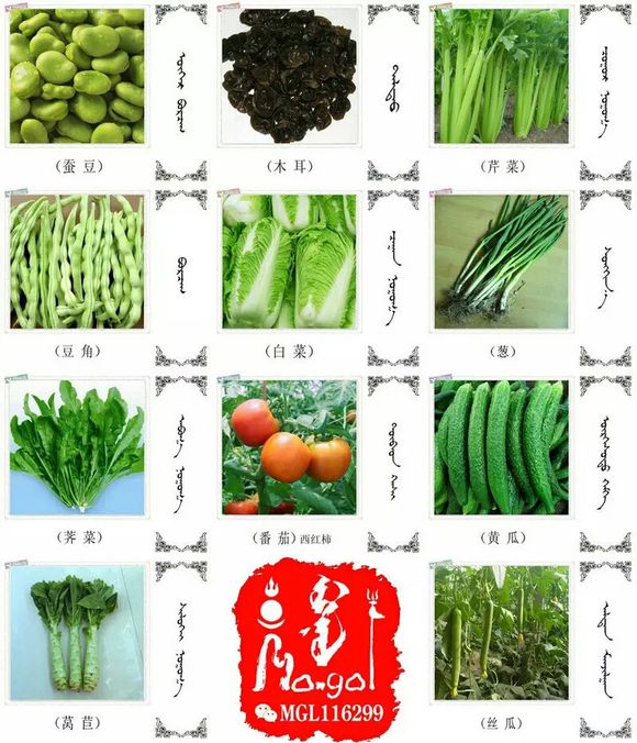 水果.蔬菜.粮食.食材的名称81种(蒙古文+汉语)