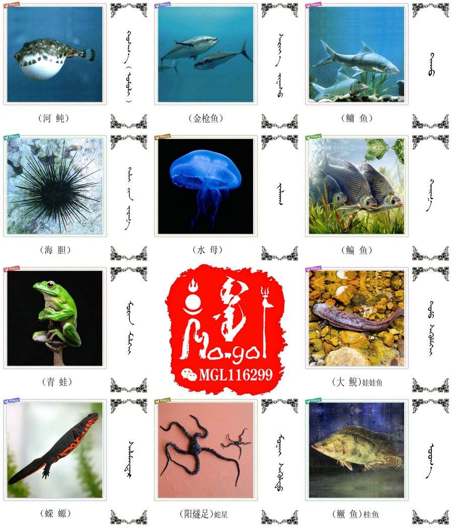 名词合集:水生.两栖.爬行类动物的名称81种(蒙古文 汉语) 第3张 名词合集:水生.两栖.爬行类动物的名称81种(蒙古文 汉语) 第3张