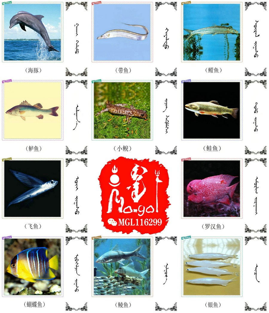 名词合集:水生.两栖.爬行类动物的名称81种(蒙古文 汉语) 第6张 名词合集:水生.两栖.爬行类动物的名称81种(蒙古文 汉语) 第6张