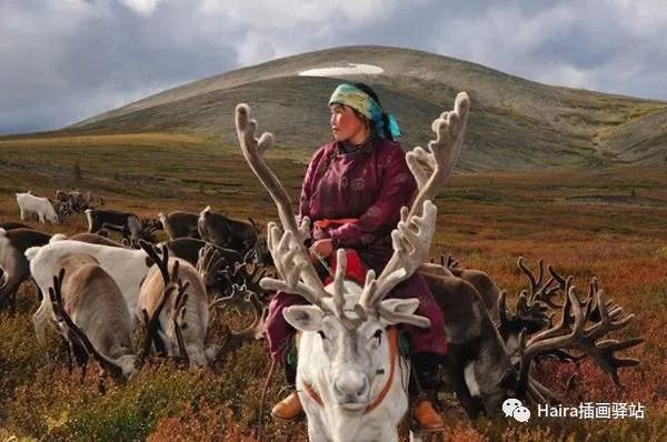 Hamid Sardar 蒙古查坦驯鹿族摄影集7