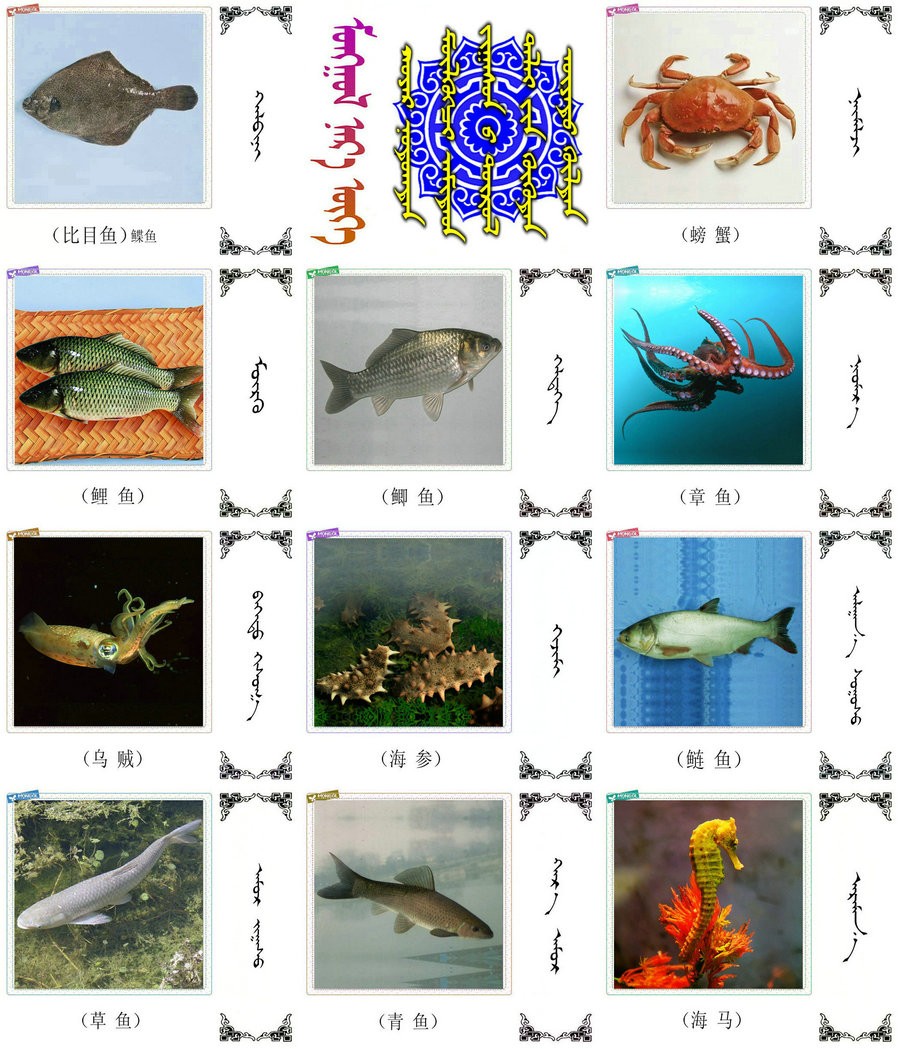 两栖.爬行类动物的名称81种(蒙古文 汉语)