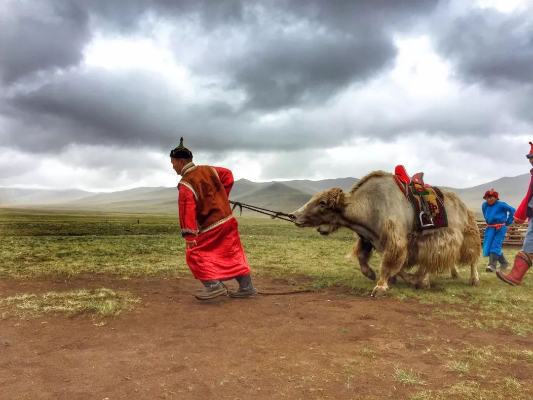 一组照片让你感受真正的蒙古游牧生活 ...-草原元素---蒙古元素 Mongolia Elements