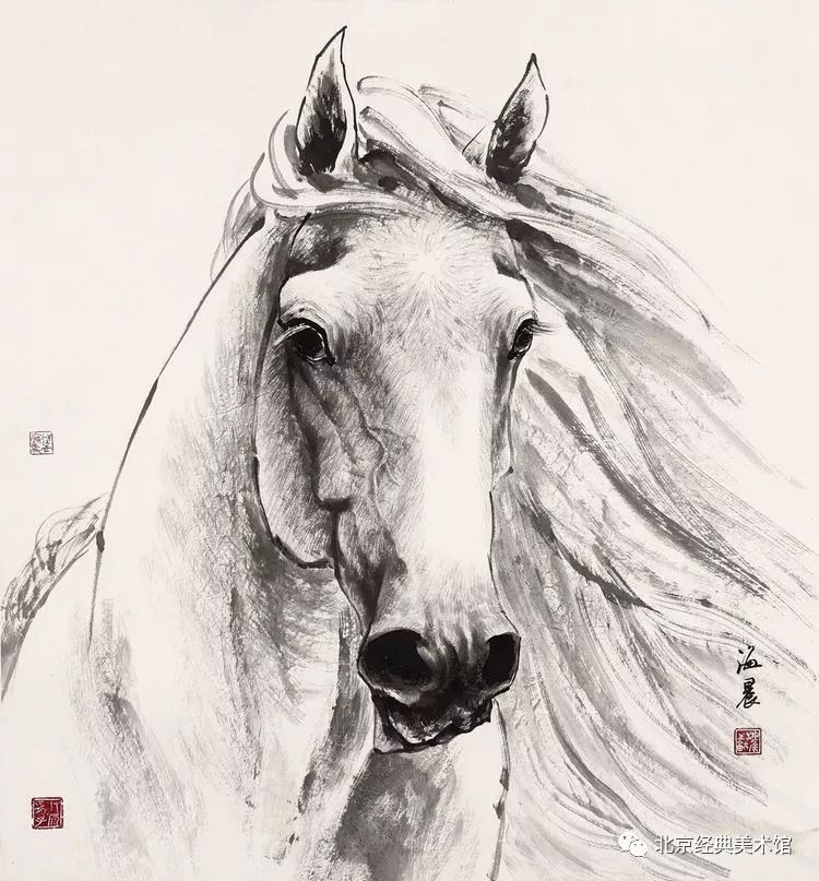 孙海晨画马心路历程