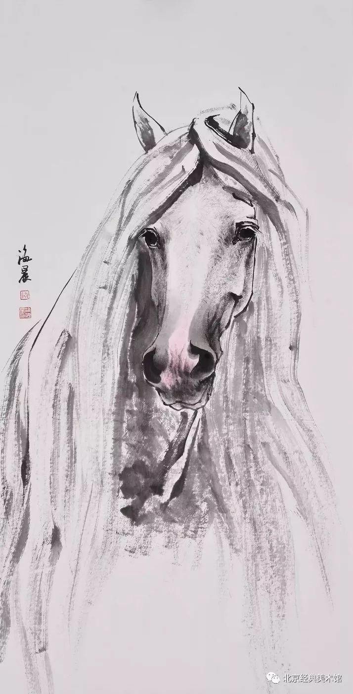 孙海晨画马心路历程