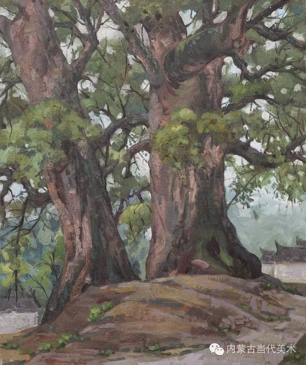 老樟树 50×60cm  布面油画  2015