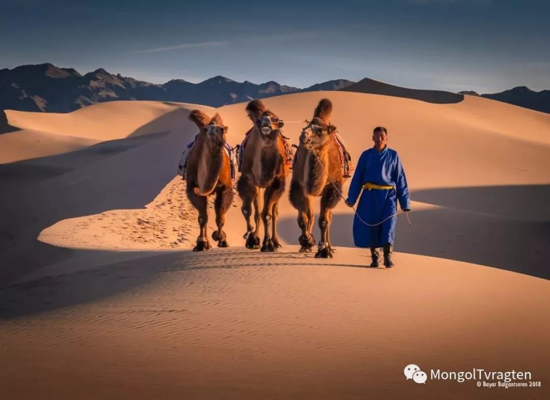 镜头下的现代蒙古生活 2