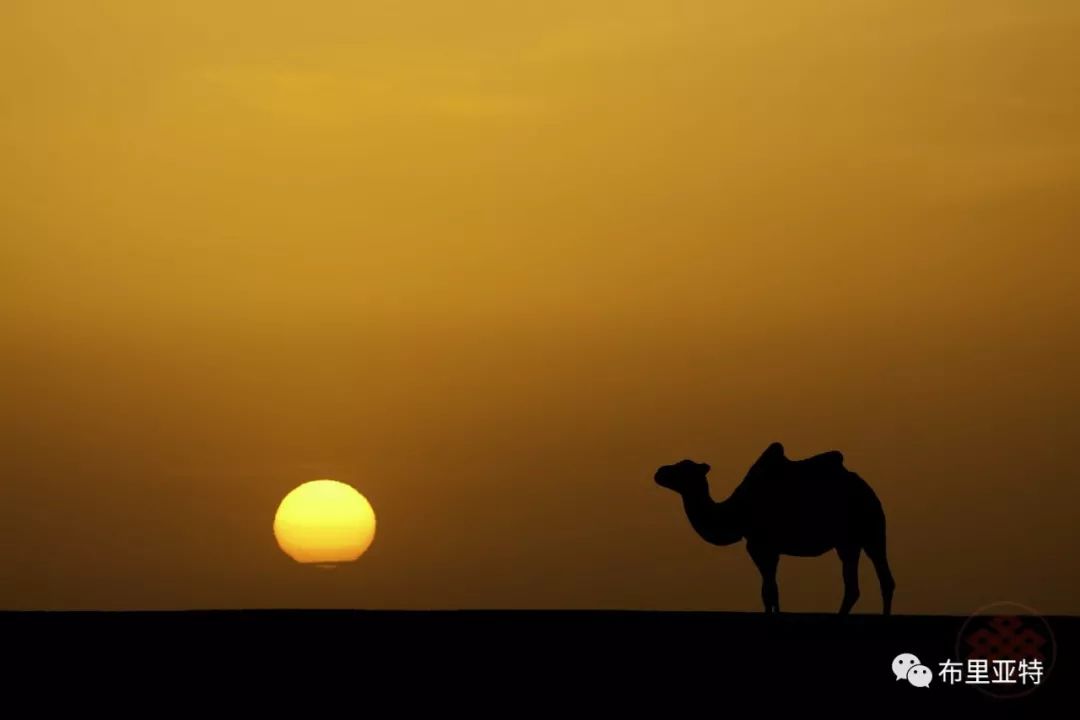 旅行摄影师甘乌力吉的摄影作品欣赏,太震撼! 第7张 旅行摄影师甘乌力吉的摄影作品欣赏,太震撼! 第7张