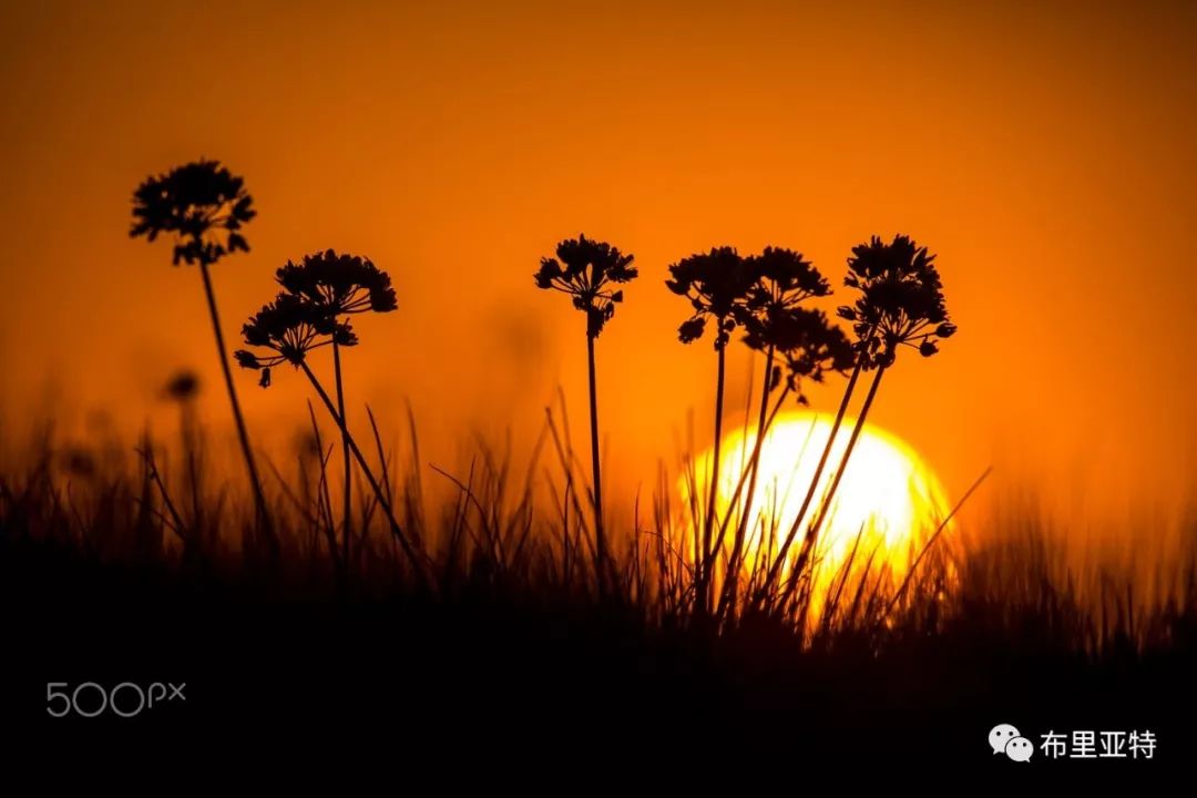 旅行摄影师甘乌力吉的摄影作品欣赏,太震撼! 第4张 旅行摄影师甘乌力吉的摄影作品欣赏,太震撼! 第4张