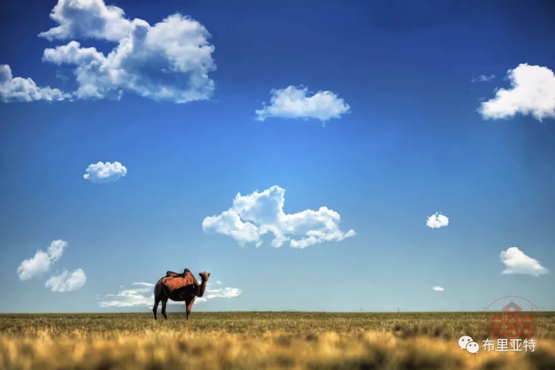 旅行摄影师甘乌力吉的摄影作品欣赏,太震撼! 第6张 旅行摄影师甘乌力吉的摄影作品欣赏,太震撼! 第6张