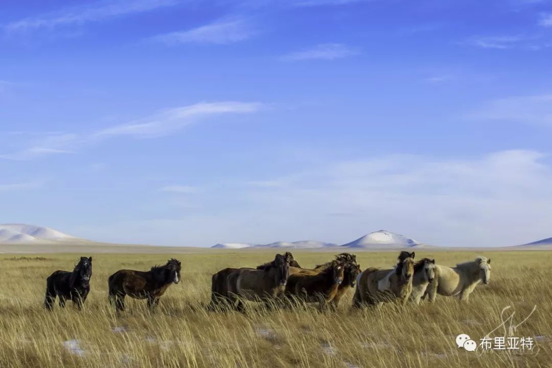 旅行摄影师甘乌力吉的摄影作品欣赏,太震撼! 第11张 旅行摄影师甘乌力吉的摄影作品欣赏,太震撼! 第11张