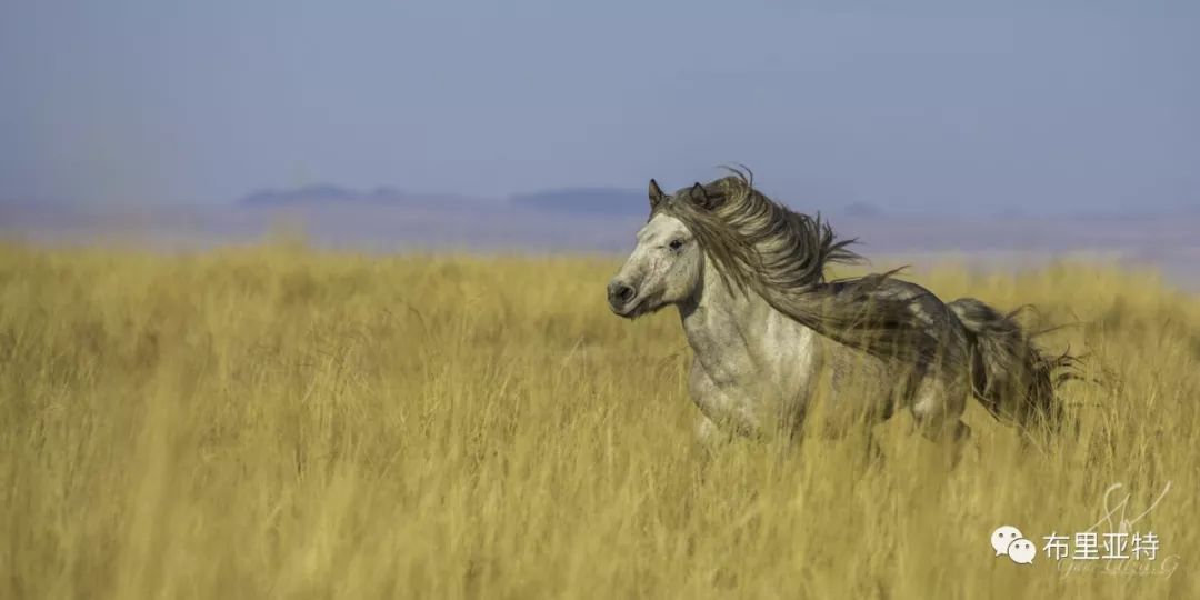 旅行摄影师甘乌力吉的摄影作品欣赏,太震撼! 第15张 旅行摄影师甘乌力吉的摄影作品欣赏,太震撼! 第15张