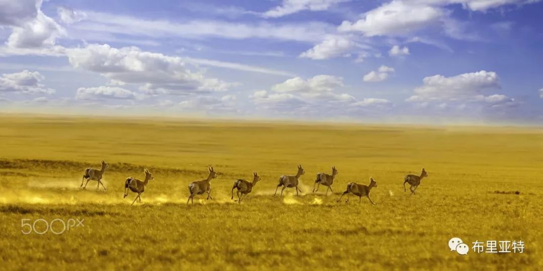 旅行摄影师甘乌力吉的摄影作品欣赏,太震撼! 第38张 旅行摄影师甘乌力吉的摄影作品欣赏,太震撼! 第38张