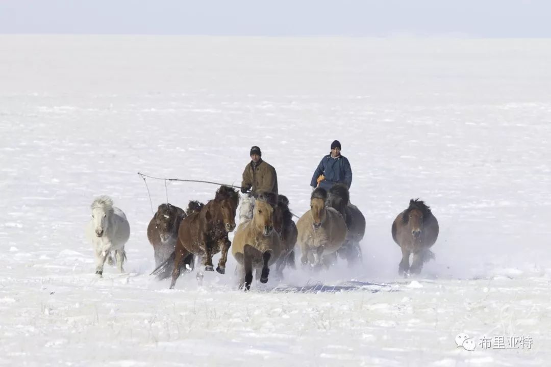 旅行摄影师甘乌力吉的摄影作品欣赏,太震撼! 第50张 旅行摄影师甘乌力吉的摄影作品欣赏,太震撼! 第50张