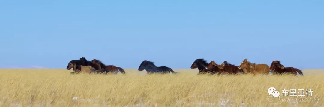 旅行摄影师甘乌力吉的摄影作品欣赏,太震撼! 第67张 旅行摄影师甘乌力吉的摄影作品欣赏,太震撼! 第67张
