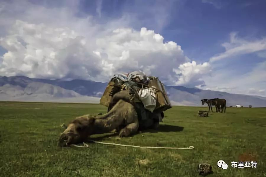 旅行摄影师甘乌力吉的摄影作品欣赏，太震撼！ 第65张