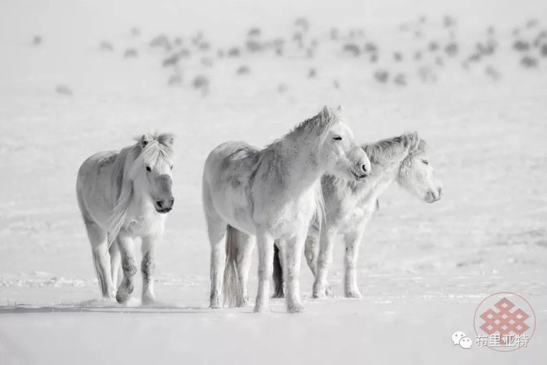 旅行摄影师甘乌力吉的摄影作品欣赏,太震撼! 第68张 旅行摄影师甘乌力吉的摄影作品欣赏,太震撼! 第68张