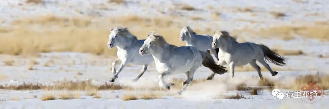 旅行摄影师甘乌力吉的摄影作品欣赏,太震撼! 第69张 旅行摄影师甘乌力吉的摄影作品欣赏,太震撼! 第69张