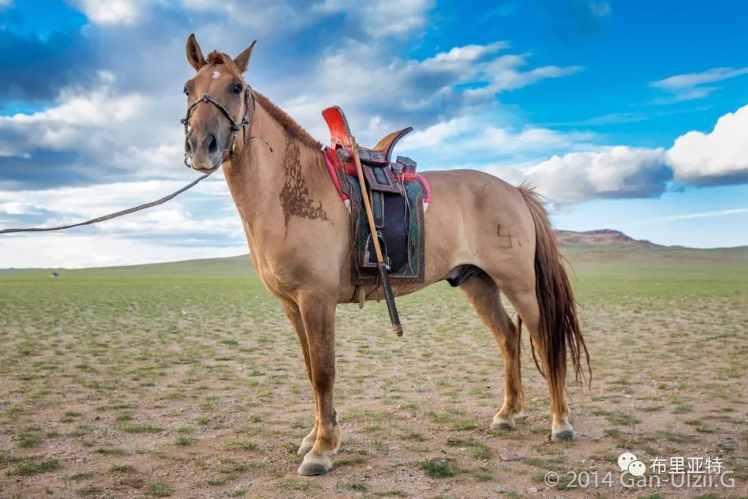 旅行摄影师甘乌力吉的摄影作品欣赏,太震撼! 第70张 旅行摄影师甘乌力吉的摄影作品欣赏,太震撼! 第70张