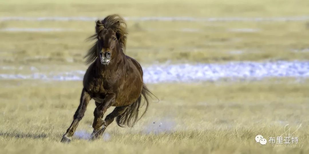 旅行摄影师甘乌力吉的摄影作品欣赏,太震撼! 第76张 旅行摄影师甘乌力吉的摄影作品欣赏,太震撼! 第76张