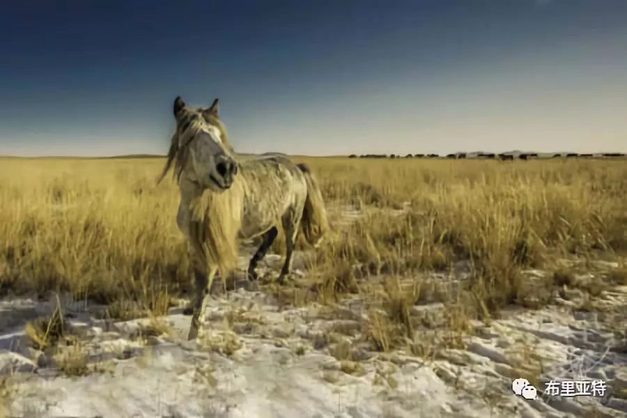 旅行摄影师甘乌力吉的摄影作品欣赏,太震撼! 第78张 旅行摄影师甘乌力吉的摄影作品欣赏,太震撼! 第78张