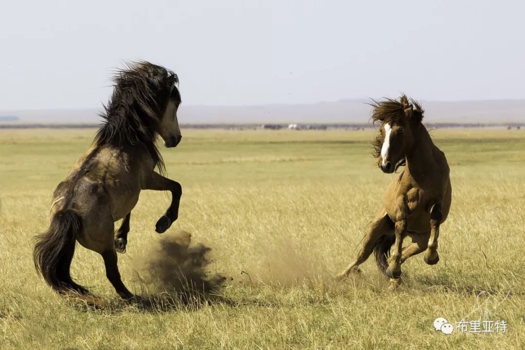 旅行摄影师甘乌力吉的摄影作品欣赏,太震撼! 第80张 旅行摄影师甘乌力吉的摄影作品欣赏,太震撼! 第80张