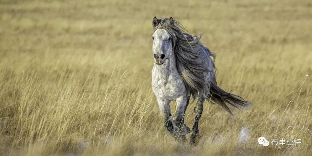 旅行摄影师甘乌力吉的摄影作品欣赏,太震撼! 第79张 旅行摄影师甘乌力吉的摄影作品欣赏,太震撼! 第79张