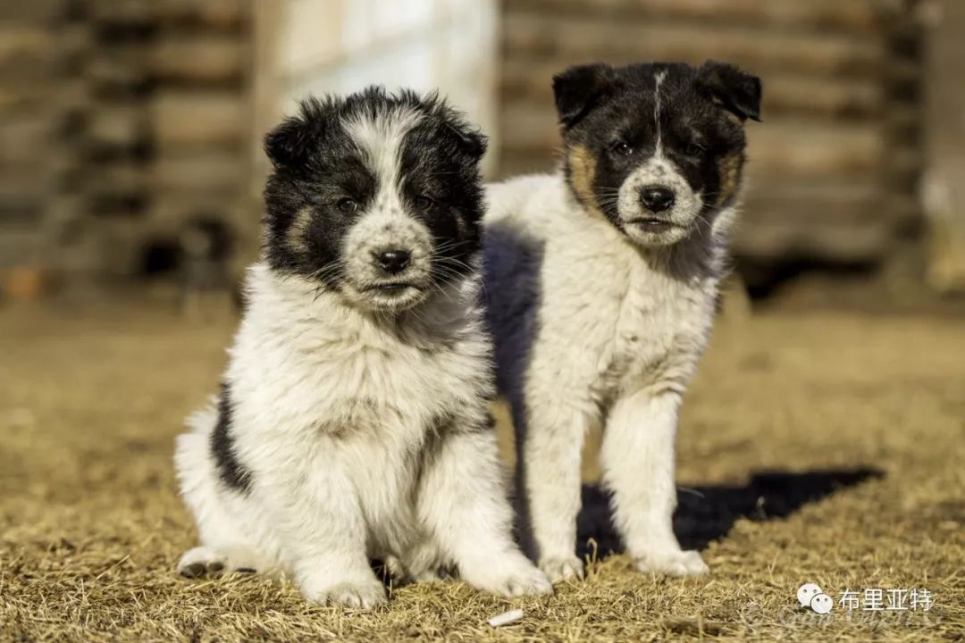 旅行摄影师甘乌力吉的摄影作品欣赏,太震撼! 第89张 旅行摄影师甘乌力吉的摄影作品欣赏,太震撼! 第89张