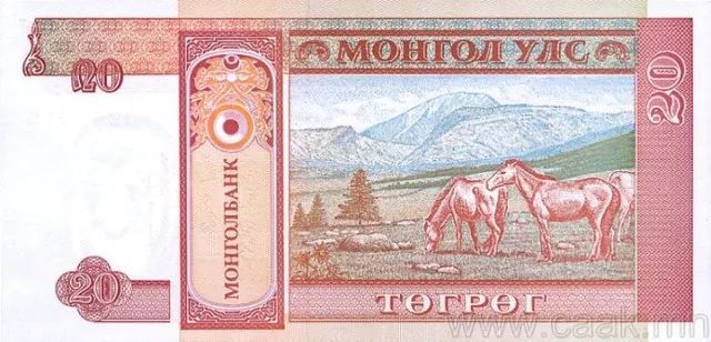 蒙央行新发行面值2万图格里克硬币 附蒙古国纸币历史变迁（组图） 第132张