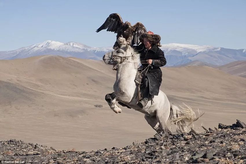【游牧印象】浪漫与艰辛：一个你不曾了解的蒙古 第7张