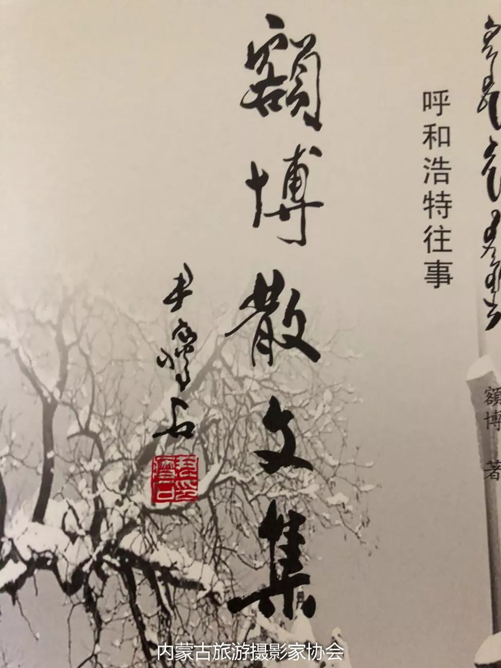 额博丨忆《内蒙古画报》及内蒙古美术摄影创始人尹瘦石先生 第15张 额博丨忆《内蒙古画报》及内蒙古美术摄影创始人尹瘦石先生 第15张