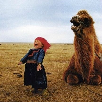 每个蒙文名字都有特别的意义，你的名字代表什么？ 第3张