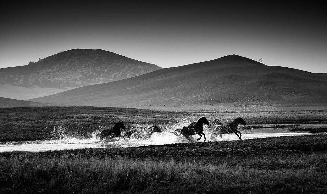 每个蒙文名字都有特别的意义，你的名字代表什么？ 第6张