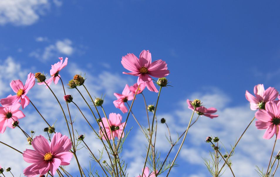 每个蒙文名字都有特别的意义，你的名字代表什么？ 第10张