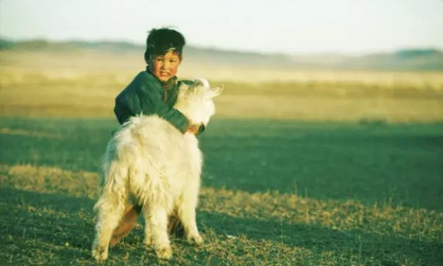 每个蒙文名字都有特别的意义，你的名字代表什么？ 第13张