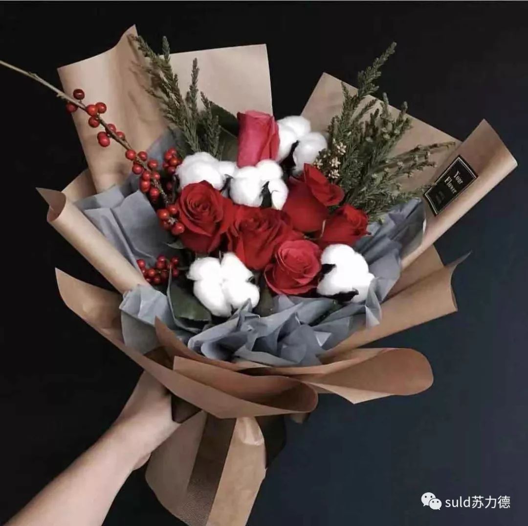 蒙文知识 第4张 蒙文知识 第4张