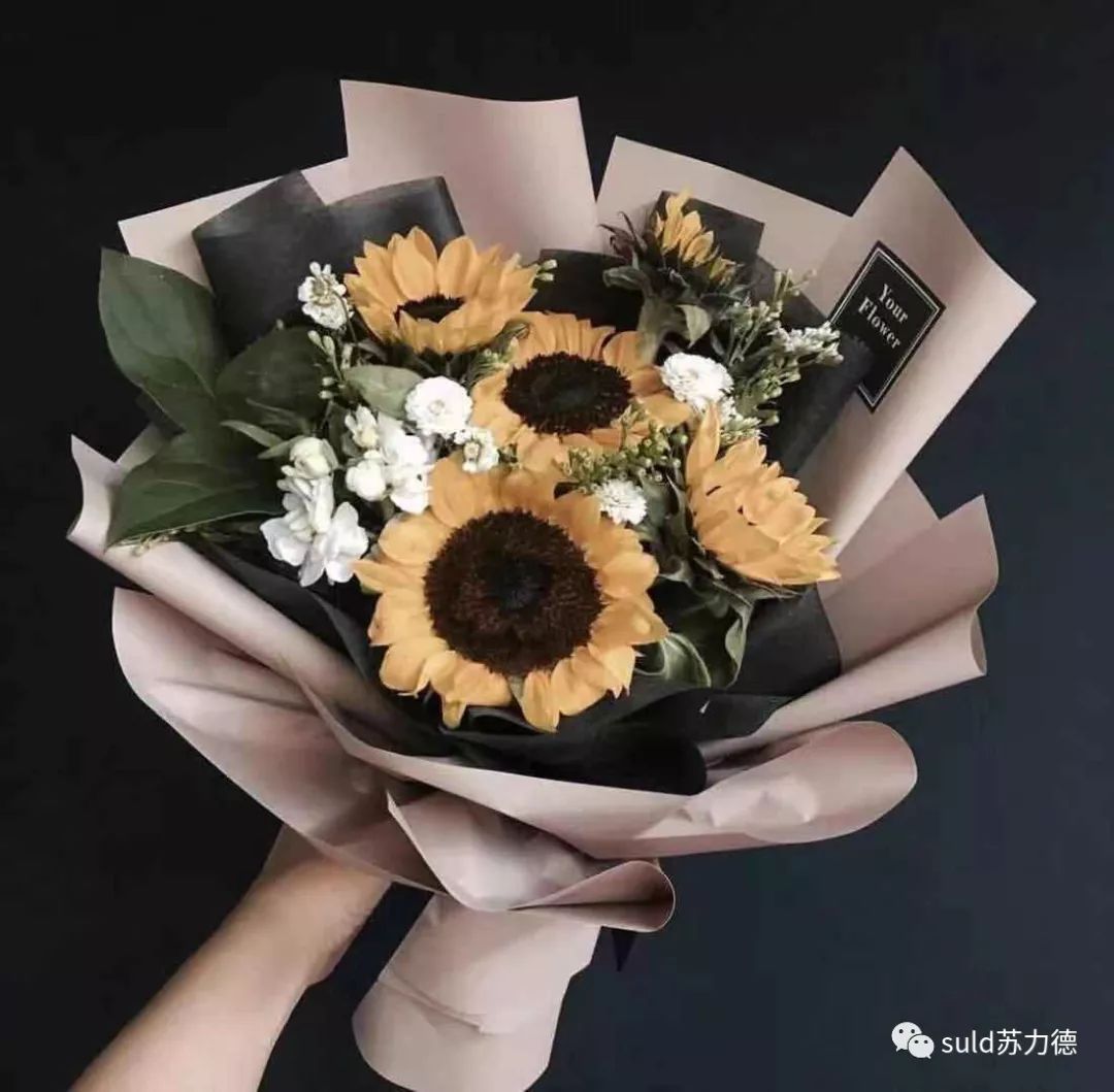 蒙文知识 第7张 蒙文知识 第7张