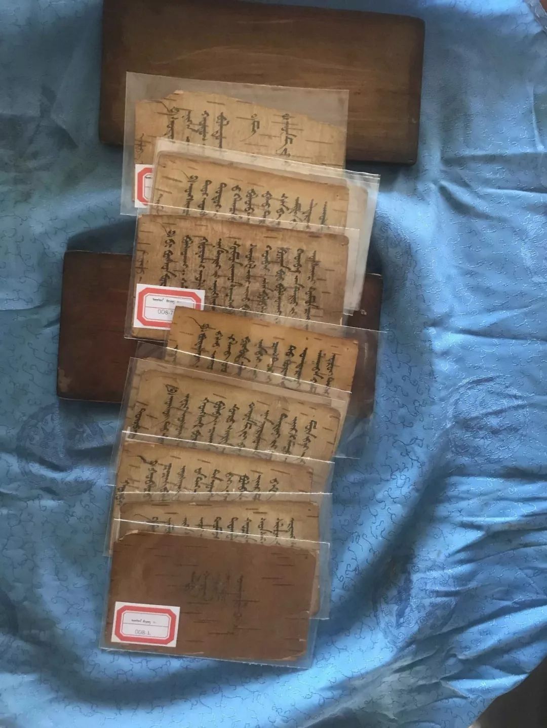 内蒙古:首次发现世界首部全文桦树皮蒙古文文献 第2张 内蒙古:首次发现世界首部全文桦树皮蒙古文文献 第2张