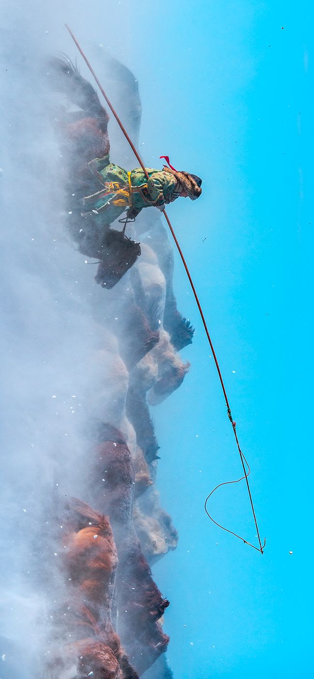 太帅了！天降神驹——蒙古马！ 第8张