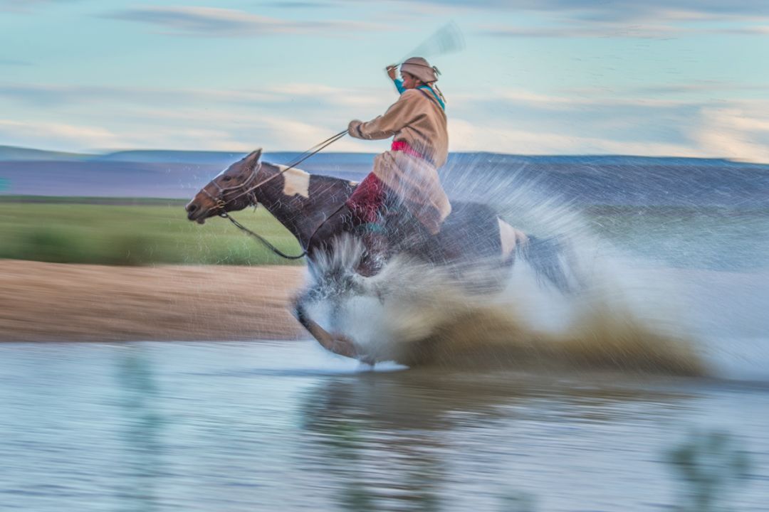 太帅了！天降神驹——蒙古马！ 第12张