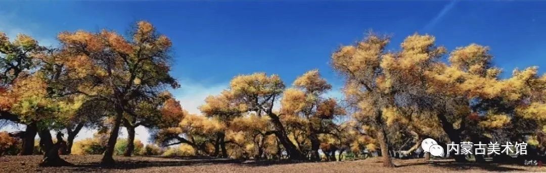 展览现场 ▎庆祝中华人民共和国成立七十周年“亮丽内蒙古,净土呼伦贝尔”——达斡尔族摄影家郭伟忠先生师生摄影作品展 第7张 展览现场 ▎庆祝中华人民共和国成立七十周年“亮丽内蒙古,净土呼伦贝尔”——达斡尔族摄影家郭伟忠先生师生摄影作品展 第7张