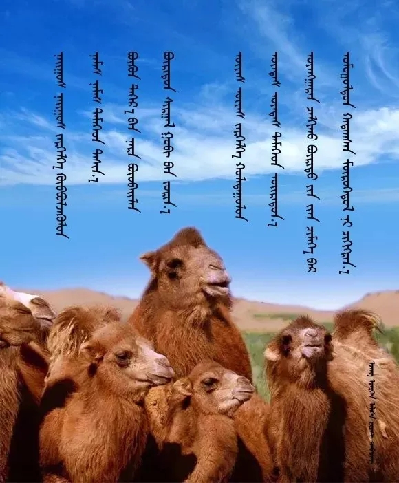 ◈ 蒙古歌词100首(第2部) 第10张 ◈ 蒙古歌词100首(第2部) 第10张