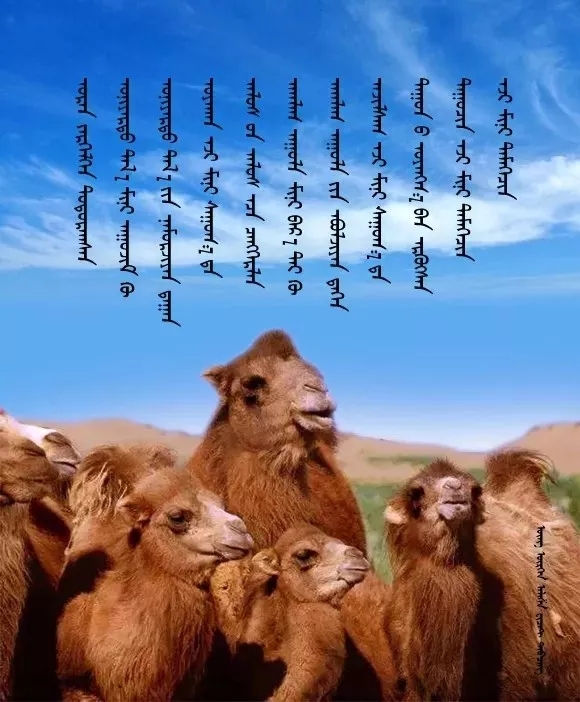 ◈ 蒙古歌词100首(第2部) 第21张 ◈ 蒙古歌词100首(第2部) 第21张