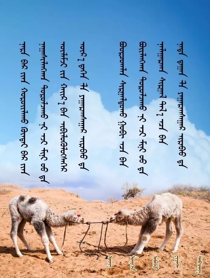 ◈ 蒙古歌词100首(第5部) 第10张  ◈ 蒙古歌词100首(第5部) 第10张