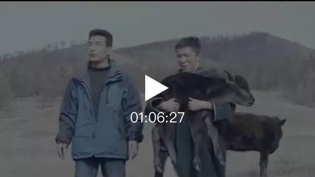 蒙古国电影«老师»