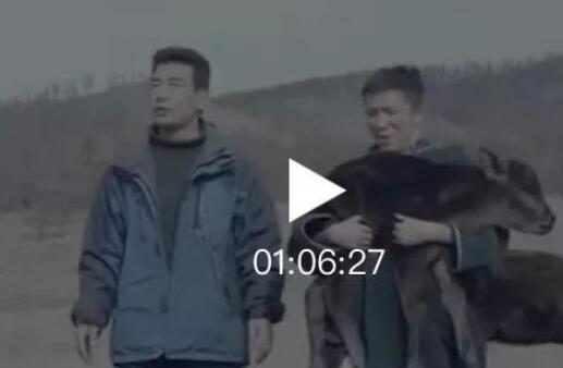 蒙古国电影«老师» 第2张