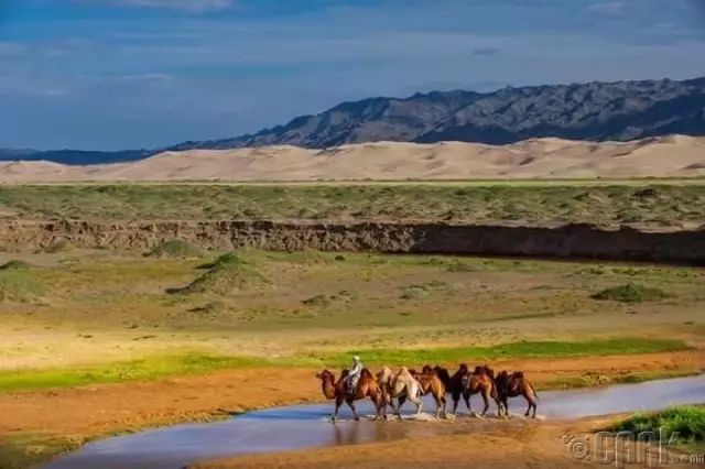蒙古草原夏季美景图集，太美了 第4张