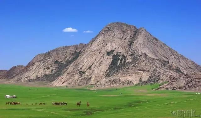 蒙古草原夏季美景图集，太美了 第14张