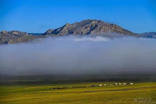 蒙古草原夏季美景图集，太美了 第13张
