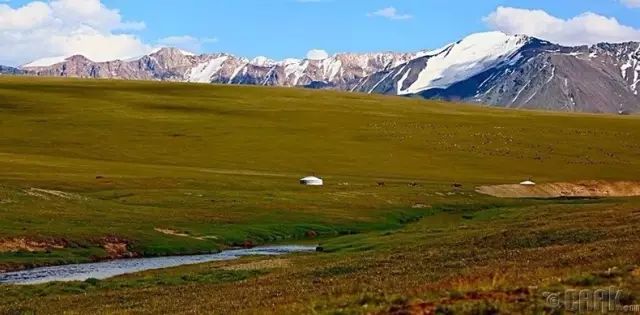 蒙古草原夏季美景图集，太美了 第19张