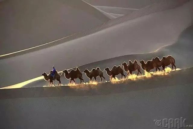蒙古草原夏季美景图集，太美了 第23张